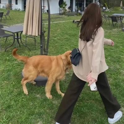 自由落体