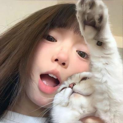 兔子的月亮
